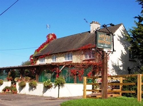 The Flying Fish Stables Hotel Ilminster Exterior photo