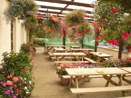The Flying Fish Stables Hotel Ilminster Exterior photo